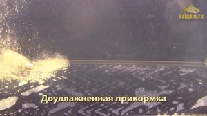 Фидерные кормушки, взгляд из-под воды [salapinru]