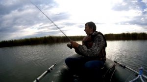 Поехал ловить окуня, а поймал... ? Рыбалка на озере Чаны.  Ловля судака на джиг с лодки.