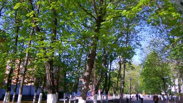 Ростов-на-Дону.Пушкинская улица(часть 5) смотреть онлайн