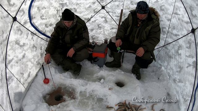 Рыбалка. Ловля окуня на опарыш и мормышку смотреть онлайн