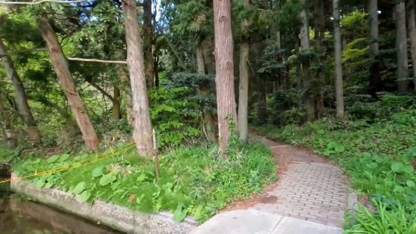 ［車中泊の旅］軽自動車で2泊3日､絶景を巡る女ひとり旅／car camping