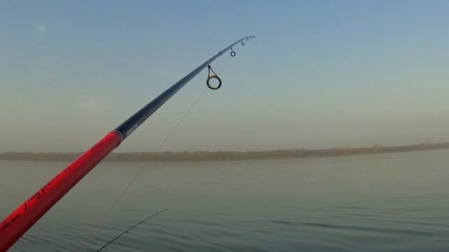 Беруши для судака (мандула из берушей) смотреть онлайн