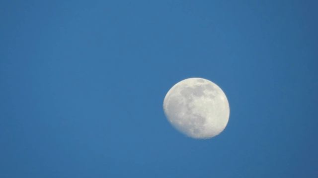 Nikon CoolPix P500 Zoom Range