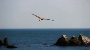 У самого синего моря...