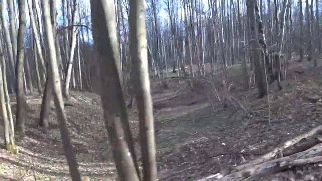 Бег: Ромашковский лес (весна) смотреть онлайн