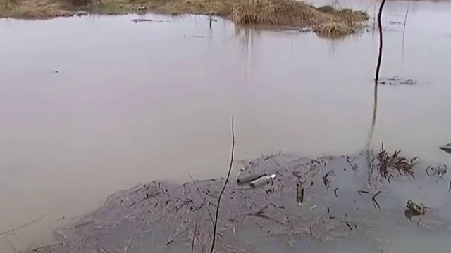 Укріплення дамб