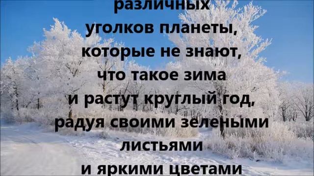 Пироги с бараниной и томатной пастой