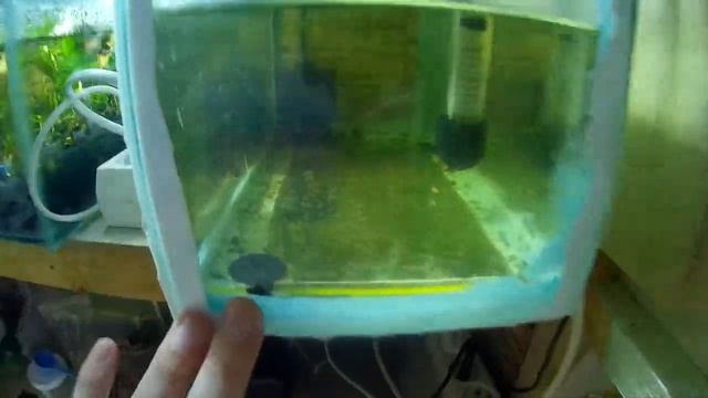 Установил освещение в палюдариум смотреть онлайн