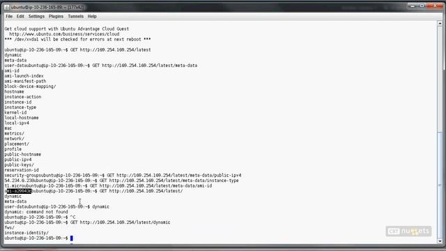 04 AWS Elasticity Understanding and Using Bootstrapping смотреть онлайн