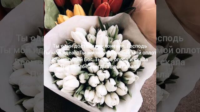 Господи, вселенную премудро Ты создал (Шариковы) смотреть онлайн