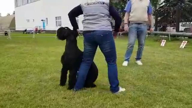 14 июня 2018 г. смотреть онлайн