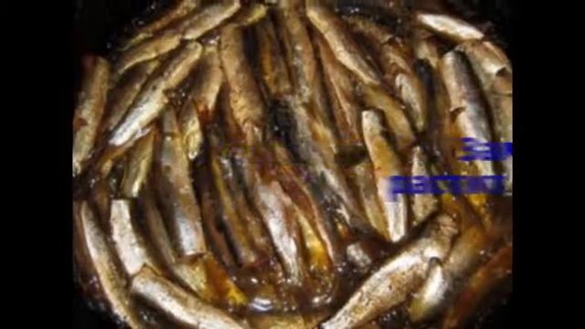 Вегетарианские Блюда и Гастрономия