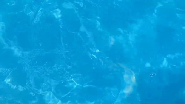 Аквапарк в Голубицкой?. Лера катается с водных горок и танцует на пенной вечеринке?. Лето 2021? смотреть онлайн