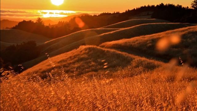 Ольга Лахнова, романс Чудный месяц смотреть онлайн