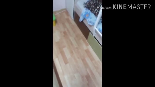 Наша комната #25 смотреть онлайн