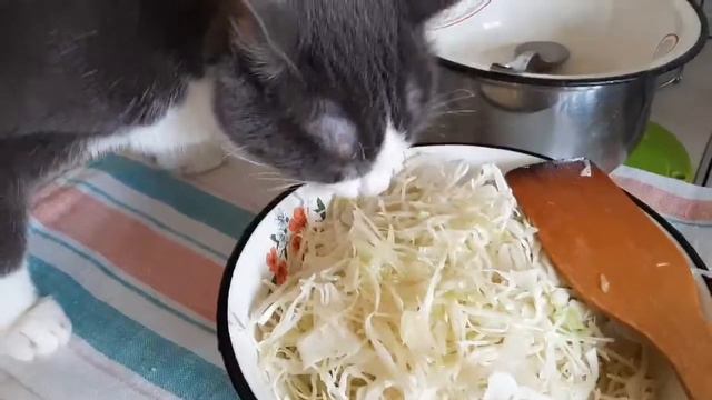 Капуста свежая и вкусная! смотреть онлайн