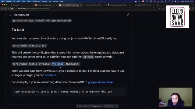 Cloud Native Meetup Saar #4 - Cheuk Ho about developing a tap and target for Singer.io смотреть онлайн