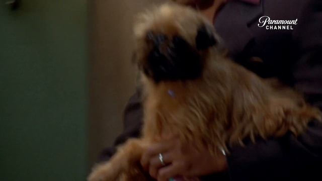 Лучше не бывает на Paramount Channel