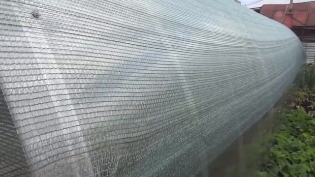 ЕЩЕ РАЗ О ПРИТЕНЯЮЩЕЙ СЕТКЕ ДЛЯ ТЕПЛИЦ. Ольга Чернова. смотреть онлайн