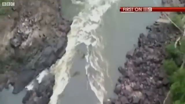 Bungee cord snaps above crocodile-infested waters смотреть онлайн