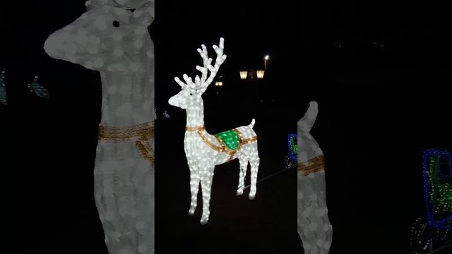 ДЕД МОРОЗ застрял у нас!?♂️ Ждём снег! смотреть онлайн