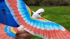 Заводная игрушка ЛЕТАЮЩАЯ ПТИЧКА, которая МАШЕТ КРЫЛЬЯМИ Wind up flying bird toy