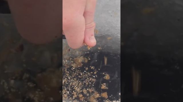 Зимняя рыбалка ! На реке подпольной ! #Shorts смотреть онлайн