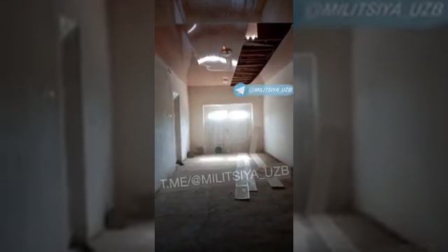 Хоразмда "силовсин" (тог мушуги) хонадонга кириб колган. смотреть онлайн