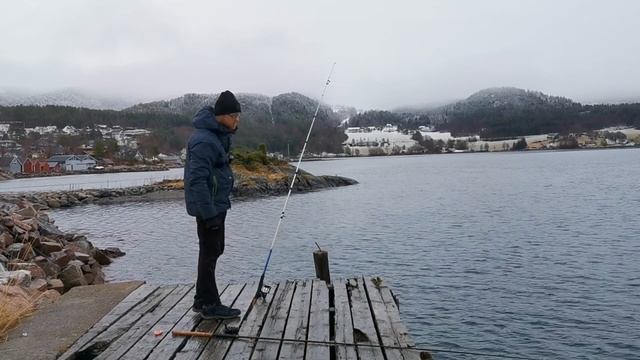 ЛОВЛЯ КАМБАЛЫ! ТЕОРИЯ И ПРАКТИКА. Рыбалка. НОРВЕГИЯ. Как ловить камбалу? Способы ловли камбалы. смотреть онлайн