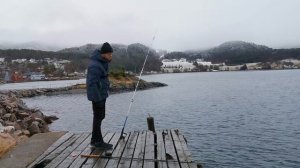 ЛОВЛЯ КАМБАЛЫ! ТЕОРИЯ И ПРАКТИКА. Рыбалка. НОРВЕГИЯ. Как ловить камбалу? Способы ловли камбалы.