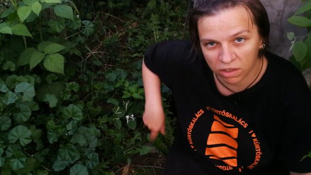 Japán futólonc az út széléről | Örökbefogadott növény смотреть онлайн