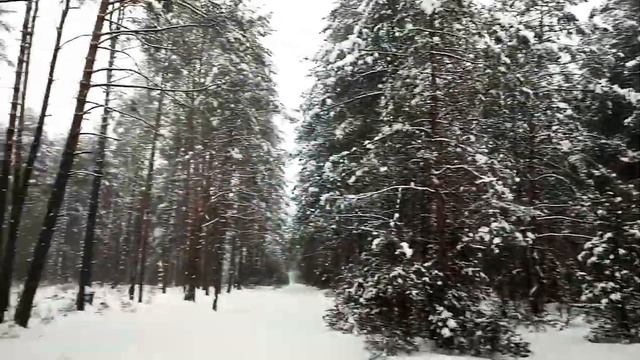 Прогулка к роднику. смотреть онлайн