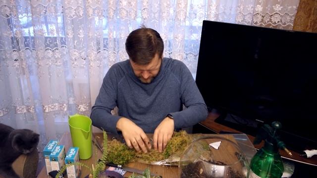 Аквариум, флорариум и вабикуса. Часть 1. смотреть онлайн