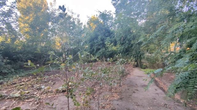 Почему рубль падает и чем нужно запасаться? смотреть онлайн