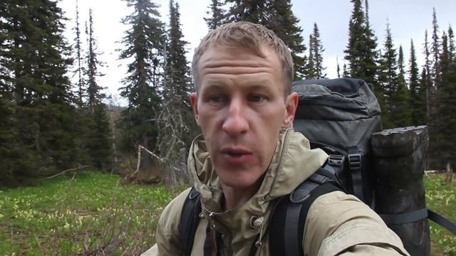 КТО ВЫЖИВЕТ В ЛЕСУ ДИЛЕТАНТ ИЛИ ПРОФЕССИОНАЛ, ЛЕСНАЯ ЕДА, ПОХОД, АБВГАТ