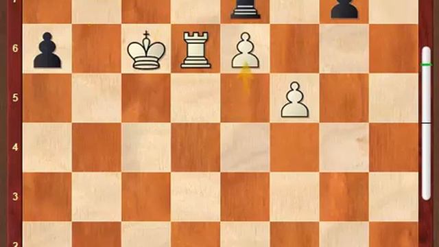 Magnus Carlsen, l'esprit combattant смотреть онлайн