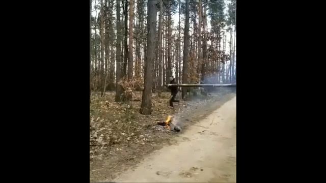 2 бревна и одно дерево смотреть онлайн