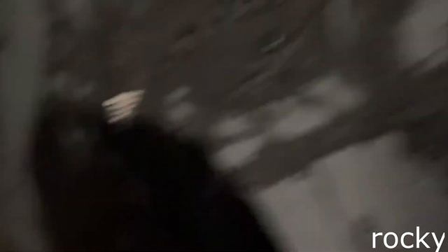 Uragan Hokage и Карлос Драка с Ботаником?! ураган хокаге