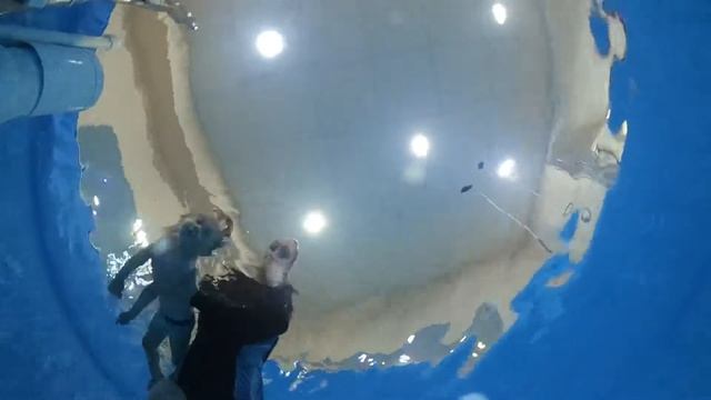 Детское плавание в Геленджике | Big Wave #01 смотреть онлайн