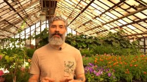 Подкормка Пуршат для всех цветов! Применяем весной, летом, зимой и осенью