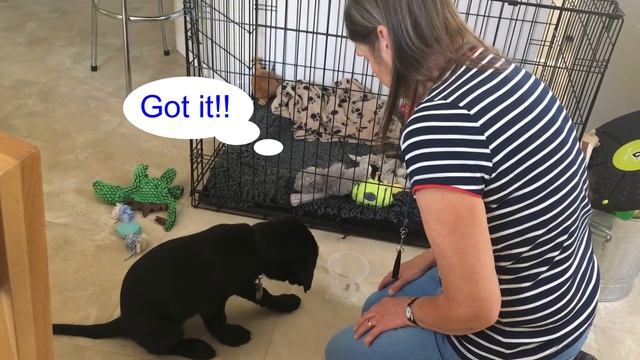 Chirag's Bucket Game Step 2 - Focus смотреть онлайн