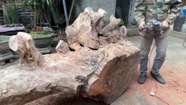 Largest Rustic Monolithic Table From Old Rare Giant Tree Stump // Extremely Heavy Woodworking Skill