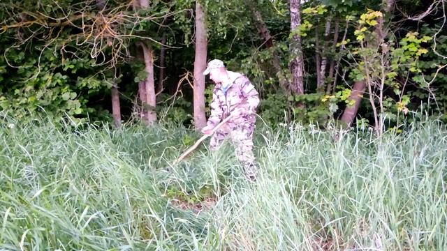 КОЛОДЫ ЕДУТ В ЛЕС. СОБИРАЕМ МИНИ ПАСЕКУ ИЗ КОЛОД. "ДИКИЙ" МЁД ⬇️ смотреть онлайн
