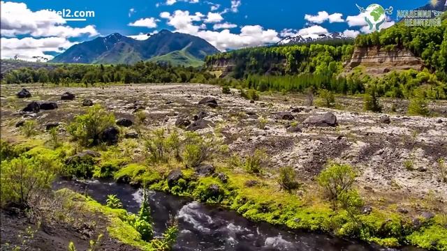 Ретрит с Николаем  Пейчевым в Абхазии