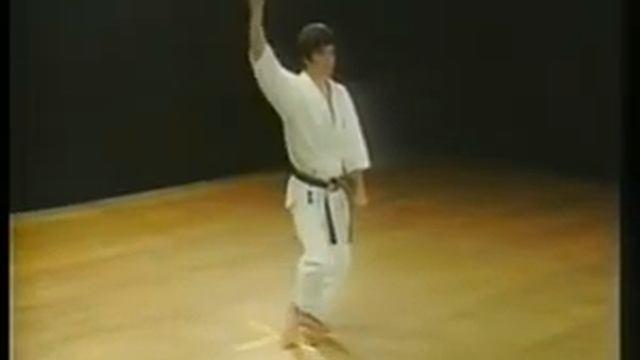 2.13 Sochin Kata by Kanazawa Shotokan Karate смотреть онлайн
