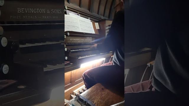 Concerto do Thomaso Albinoni, transcribed by JG Walther, 1st mvt. смотреть онлайн