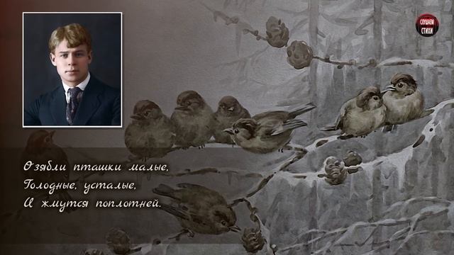 Сергей Есенин "Поет зима — аукает" - Слушать и Учить аудио стихи смотреть онлайн