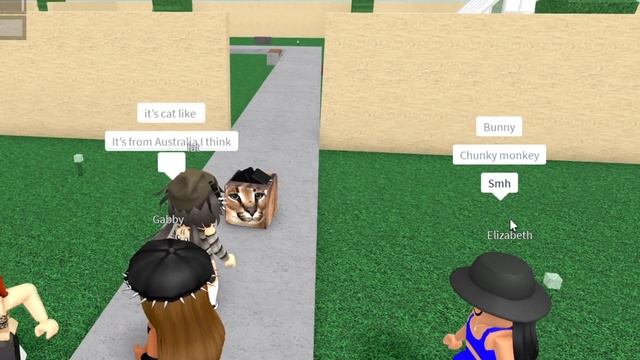 Roblox Fe Script Showcase Episode#230/Fe Floppa смотреть онлайн