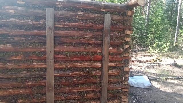 Я смог! Сруб лесной ИЗБЫ полностью готов. Один в лесу! DIY. смотреть онлайн