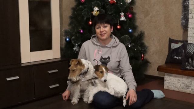 КАК ПРАВИЛЬНО ФОТОГРАФИРОВАТЬ СВОЮ СОБАКУ//ПРОСТЫЕ ПРАВИЛА смотреть онлайн
